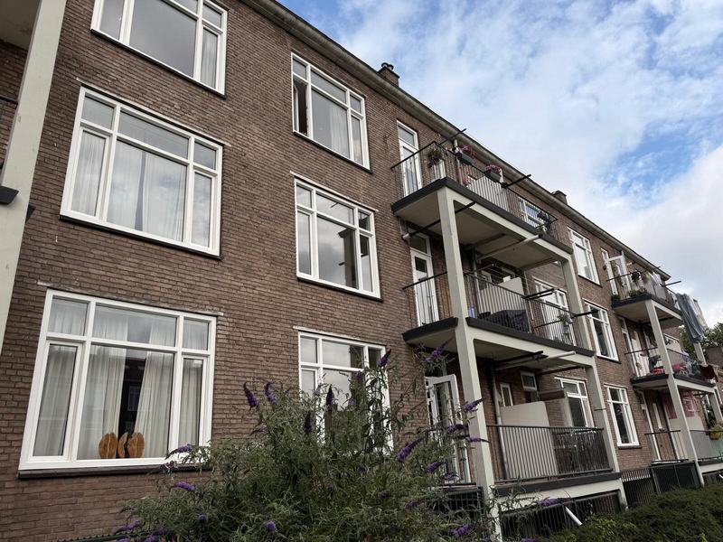 Achtergevel met vernieuwde kozijnen en balkons in de zomer